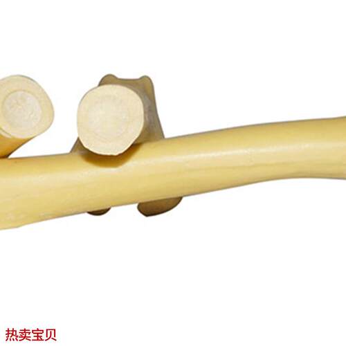 狗股骨动物骨科手术演示练习仿真骨练习用骨犬宠物U兽医包邮厂家