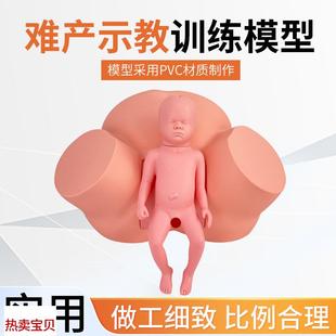 高级助产示教模型分娩演示妇科检查模K型生产分娩演示肩产难产