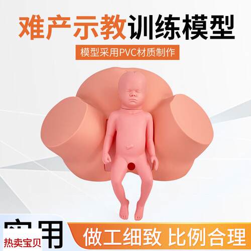 高级助产示教模型分娩演示妇科检查模K型生产分娩演示肩产难产