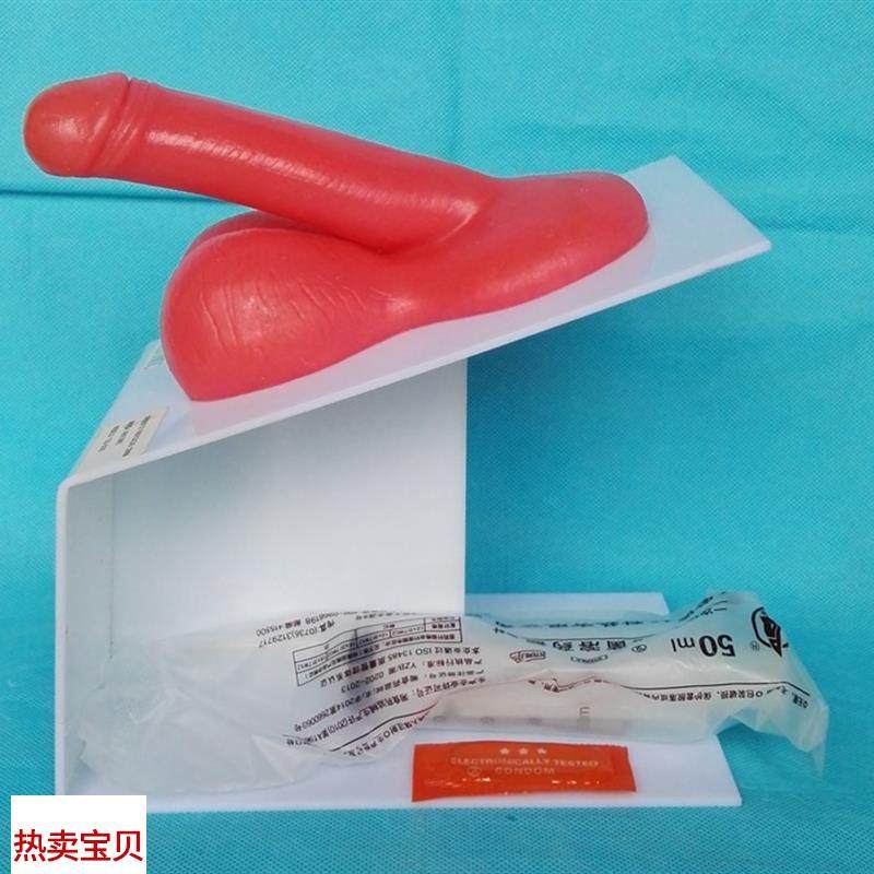 男性生殖器e演示模型男性生殖系统计生教学医用讲解展示