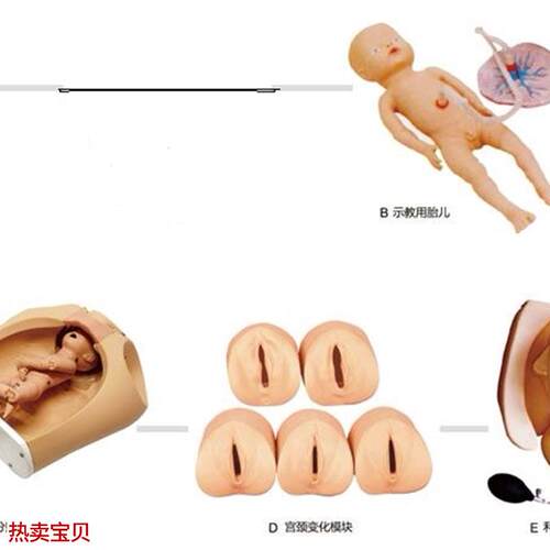 高级腹部触诊分娩机转综E合模型分娩机转示教模型