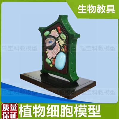 植物细胞模型叶绿体细胞器滤y泡生物课教学仪器初中教育装备动植