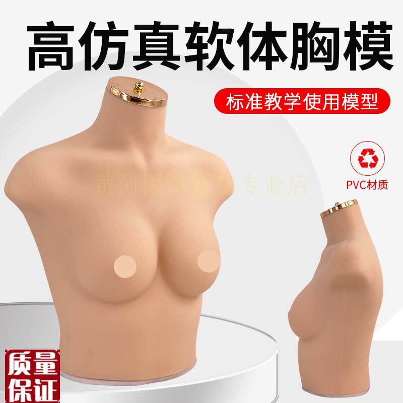 75B/C罩杯内衣m模特女胸模软体模特道具仿真人模特内衣展示模
