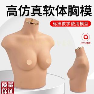 75B/C罩杯内衣m模特女胸模软体模特道具仿真人模特内衣展示模
