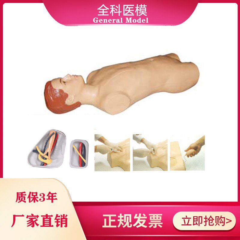 中心静脉穿刺注射躯干模型股静脉注射插管N抽血练习模拟颈动脉