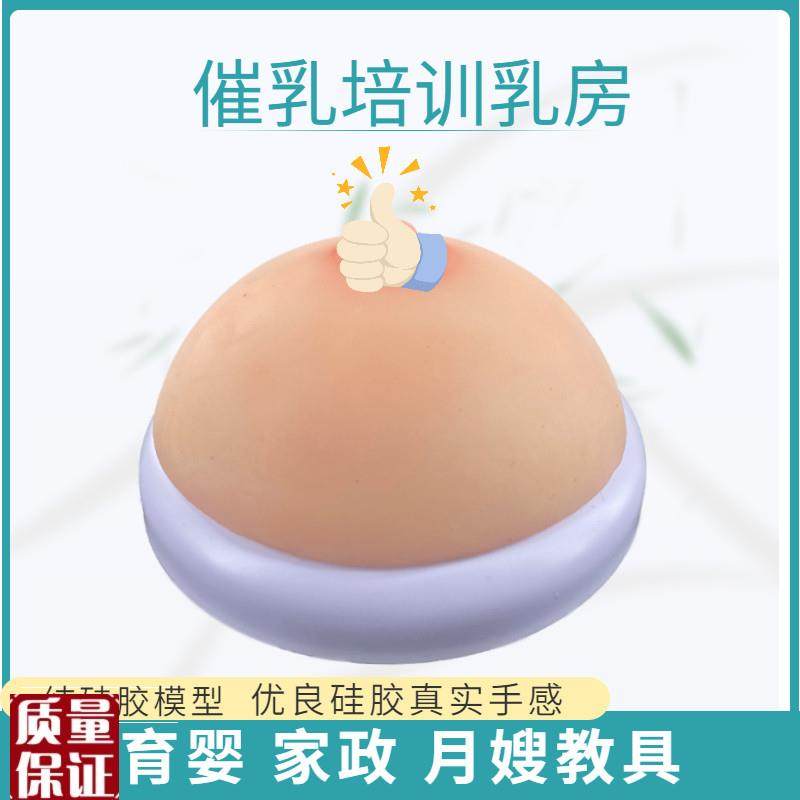 医院母乳喂养g指导教具娃娃模型假胸假乳房模型准妈妈产前练习宣