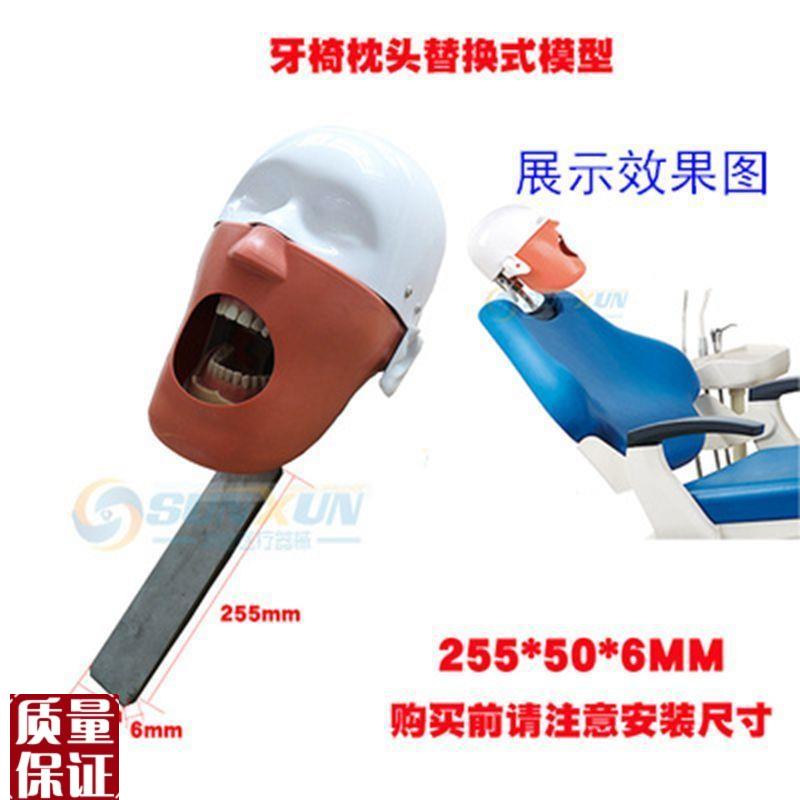 牙科仿真头模口腔简易头模可放牙椅练K习备牙头颅模型拆换牙