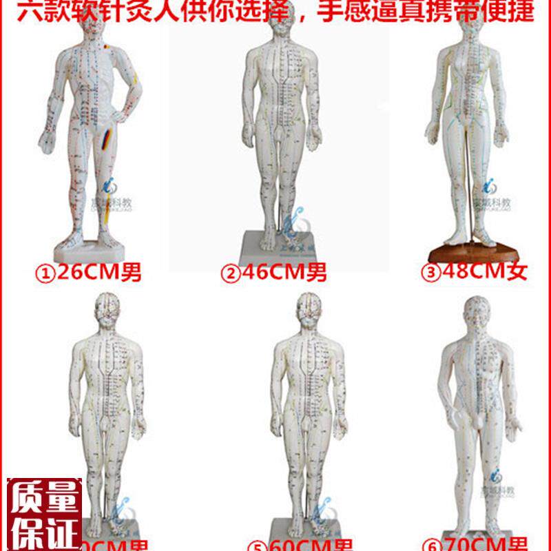 超清人体针灸穴位模型经络通铜人刻字中医教学T人体模型男女小