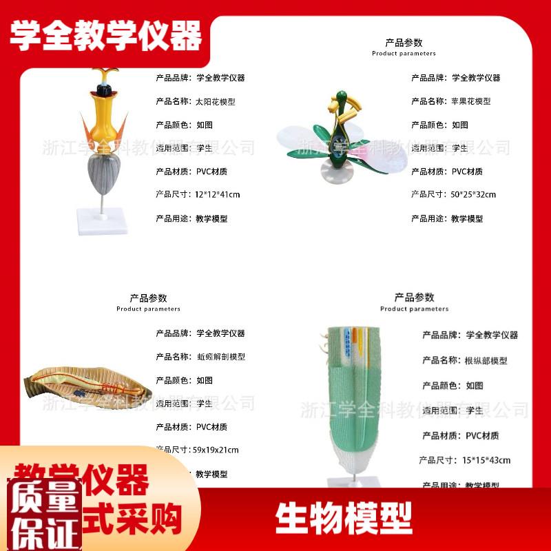 高中生物模d型教学演示教具生物动物模型植物模型生物教学仪