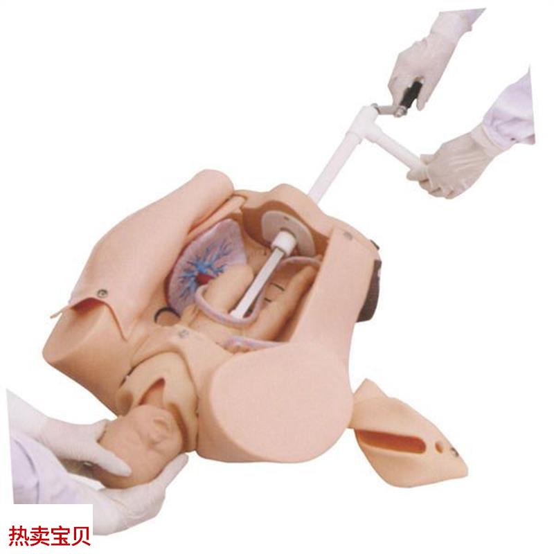 高级手摇分娩机制示教模型肩难产助产训练模T型妇幼保健模具
