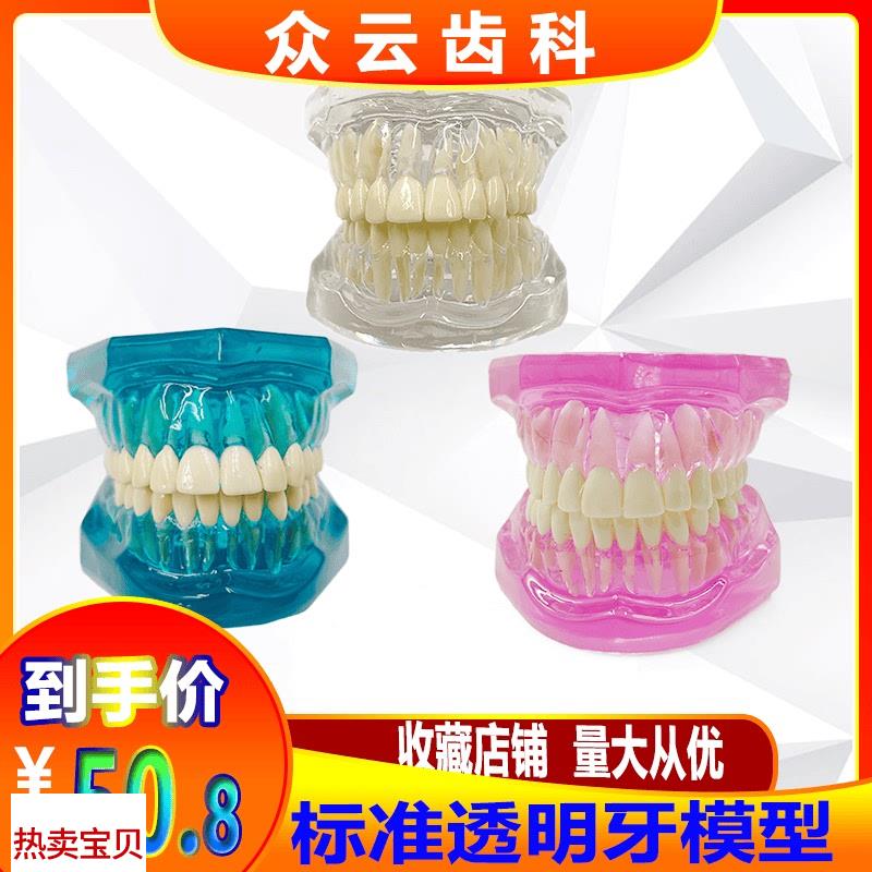 牙科口腔教学模型l标准牙齿透明水晶模型全口28颗假牙模牙不可拆