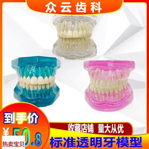 牙科口腔教学模型l标准牙齿透明水晶模型全口28颗假牙模牙不可拆