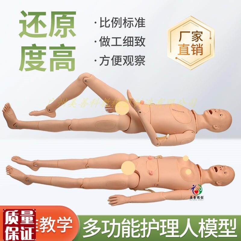 高级男女性护理人体模型灌x肠插尿管医学导尿技能操作护理模