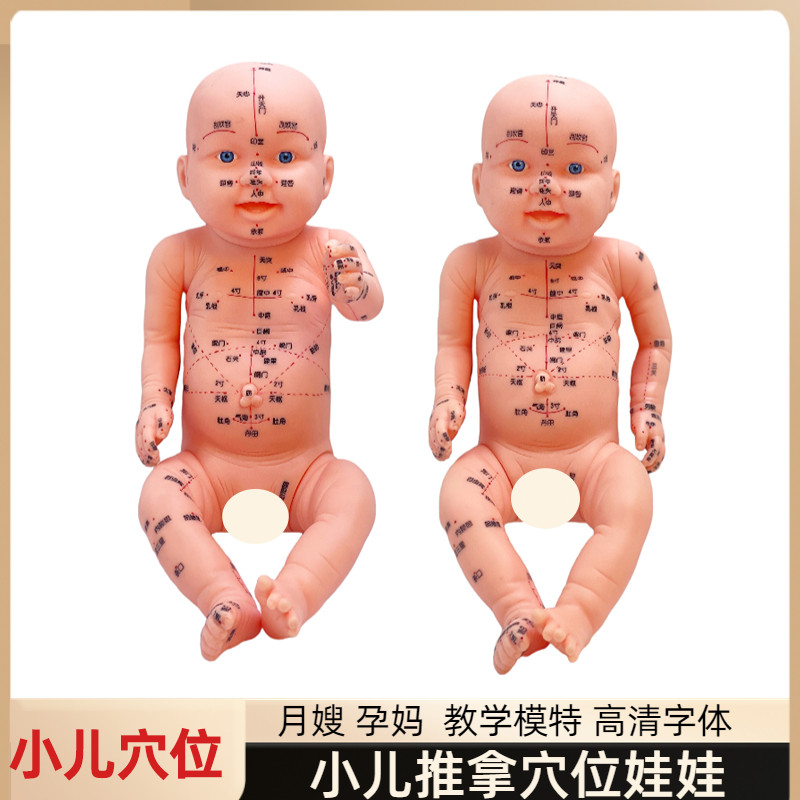 身体穴位经络图中医小o儿推拿按摩书教学月嫂培训娃娃模型宝宝保
