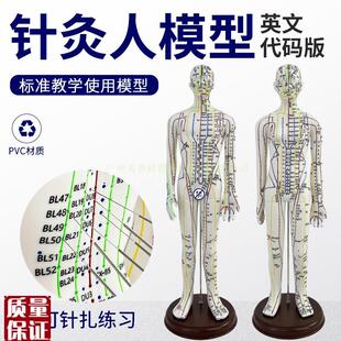 英文版穴位模型软胶可扎针练习针灸人人体经络穴X位中医全身模