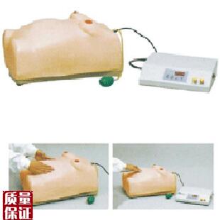 高级电脑孕妇检查模n型怀孕检查模型 W2怀孕 妇科检查模型ZH
