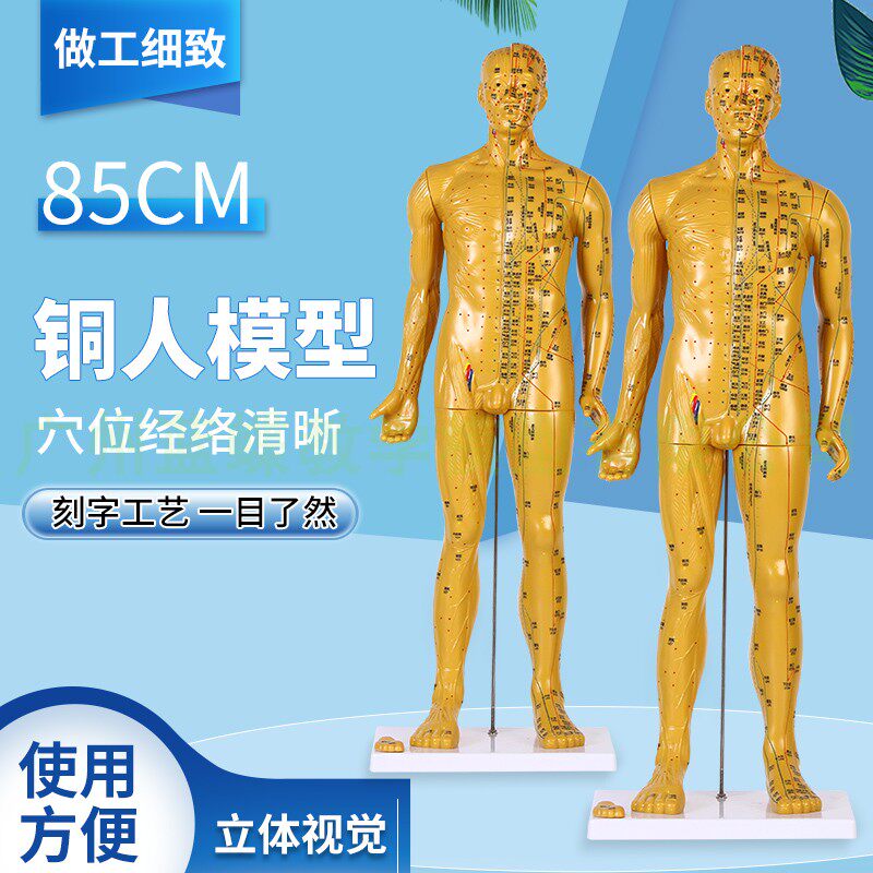 针灸人体模型带解剖人体穴位模型 中医经络穴位N人模 85CM针灸铜