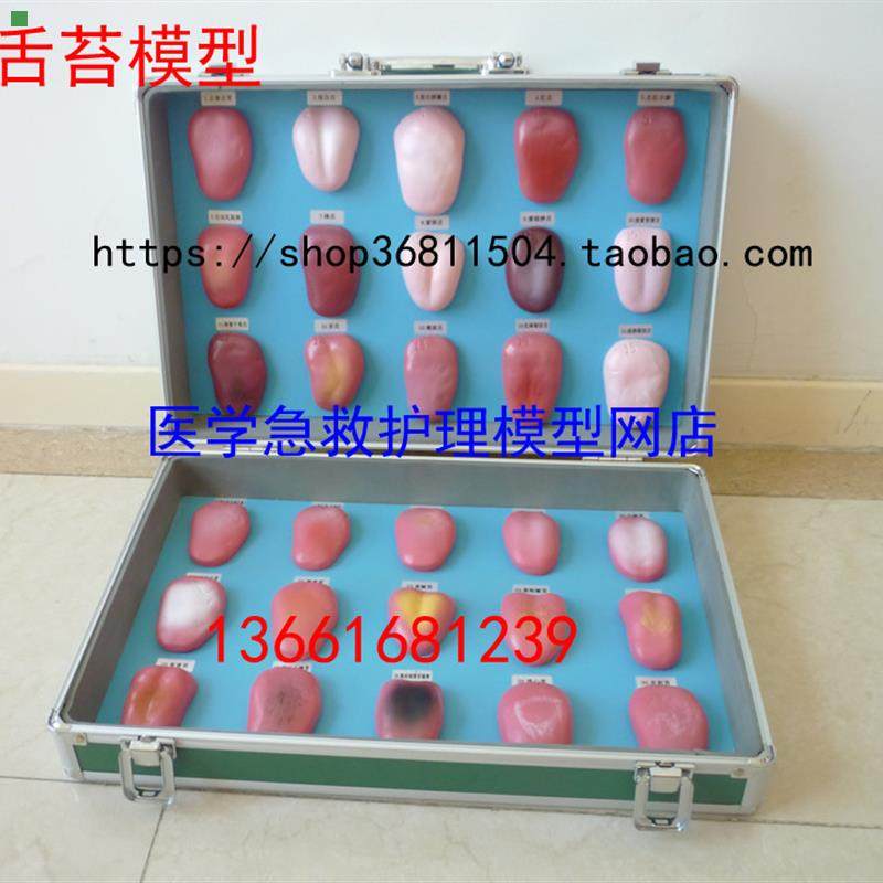 舌苔模型 舌苔病理模型 舌像模型30件/套 舌苔症状对比模型