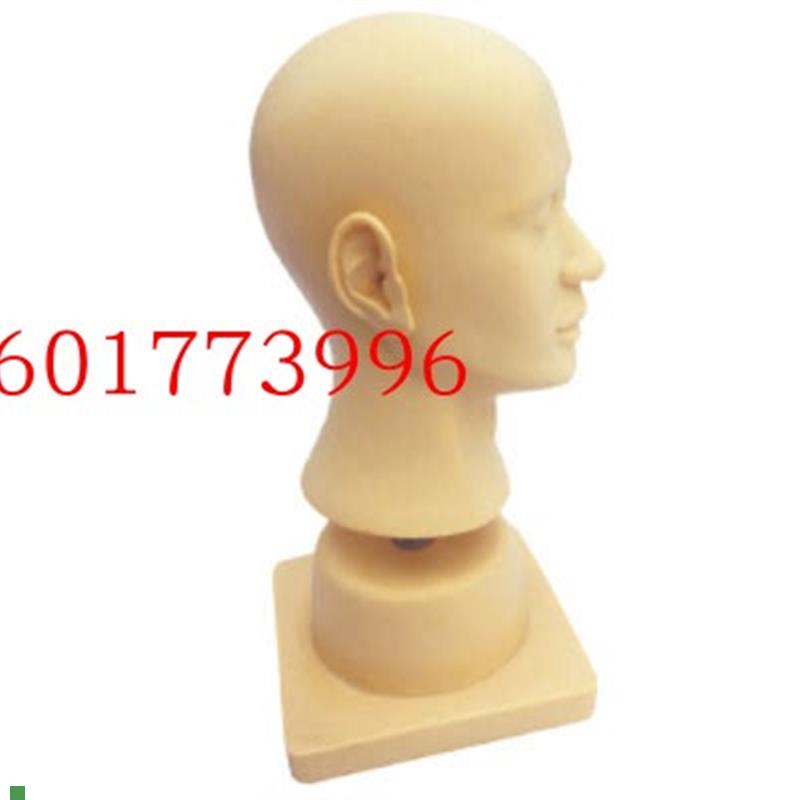 高级耳部冲洗模型耳冲z洗模型耳内冲洗模型耳模型