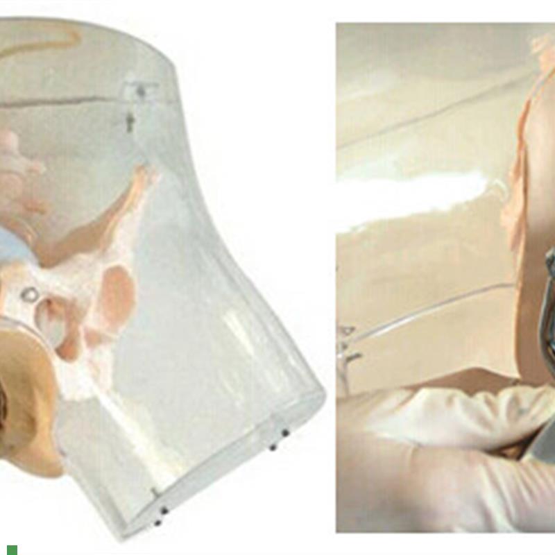 高级透明刮宫模型透明刮宫教F学模型女性计划生育模型