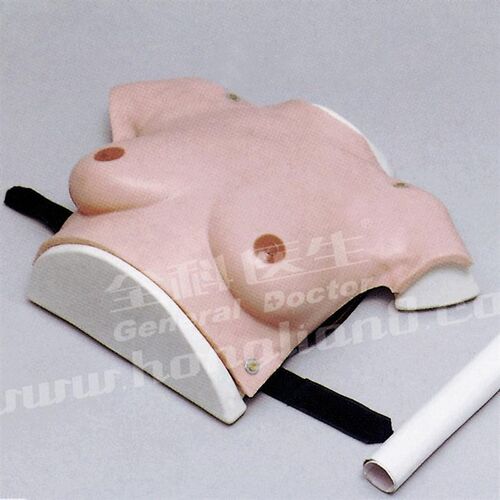 高级着装式乳房自检模型GD/Fy7C/女性乳房检查模型/乳腺自检模型