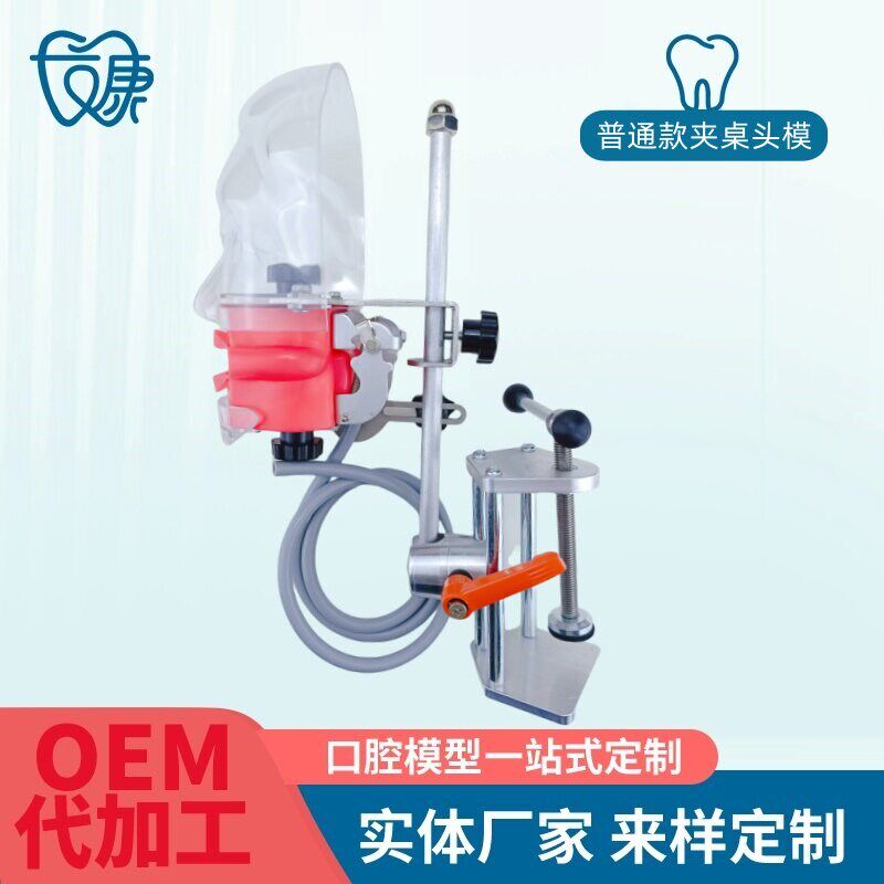 牙科简易仿真头模树脂可拆卸牙齿备牙正畸修复Q仿头模口腔教学模