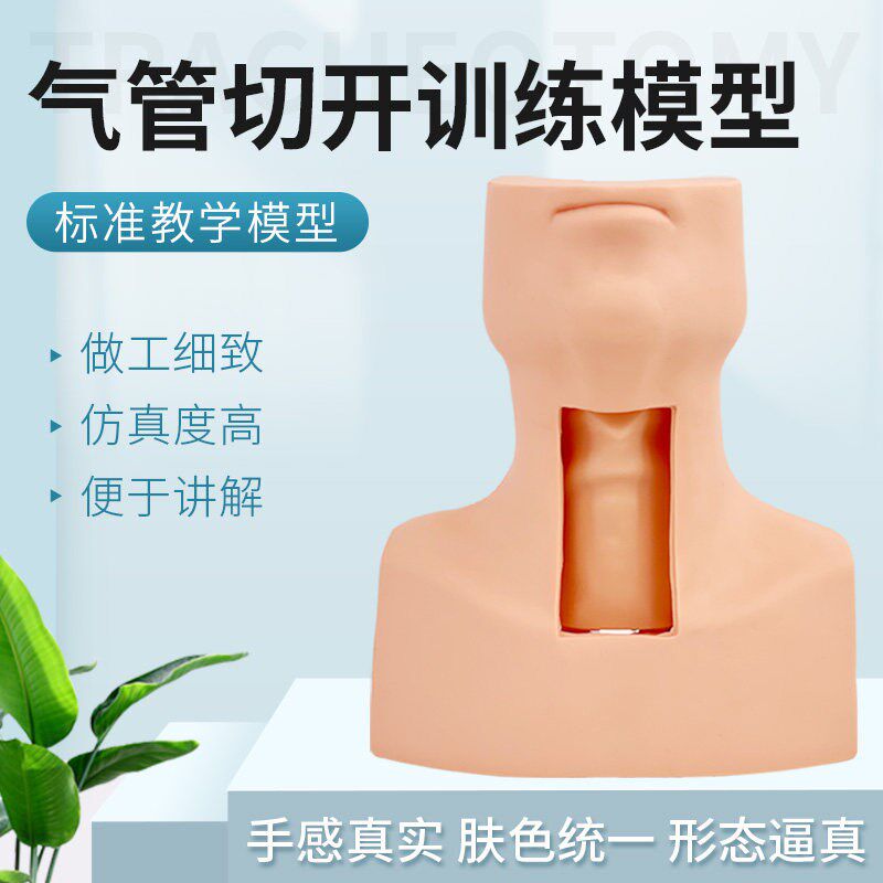 气管切开术教学训练 高级环甲膜穿刺及气管切V开插管训练模型