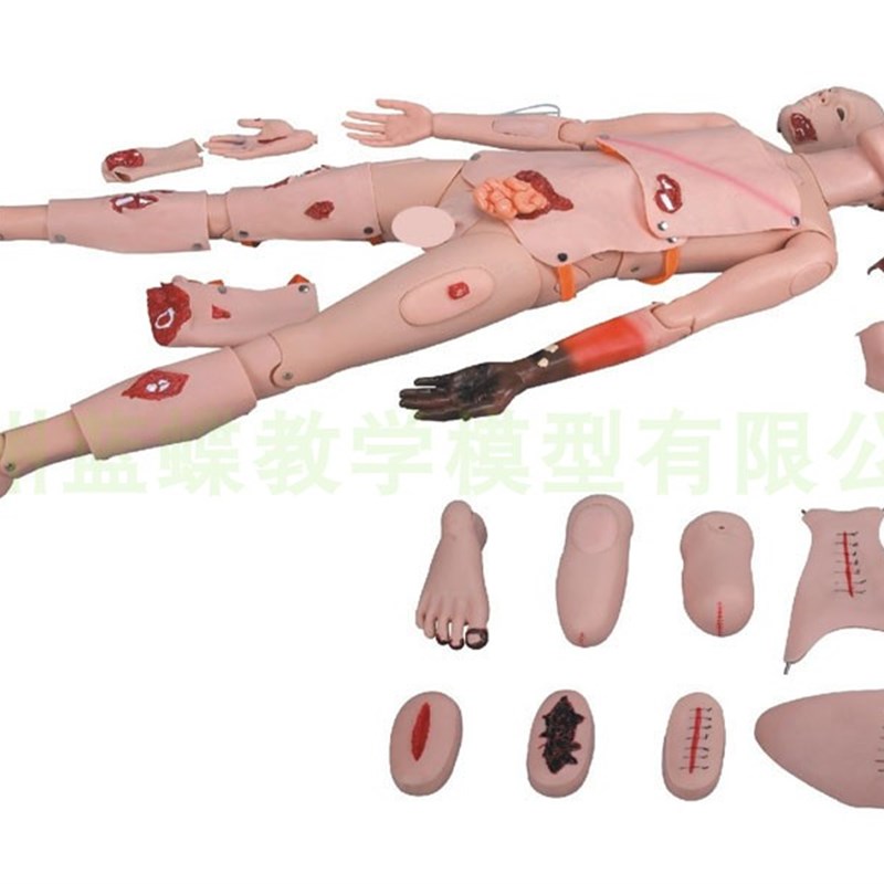全功能创伤护理人/医教学用假人体模特/急救训R练模拟人体模型模