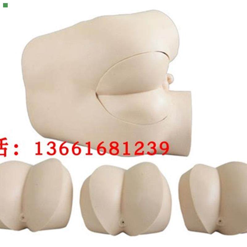 高级直肠指诊检查示教模型 高级直肠指诊检查模型