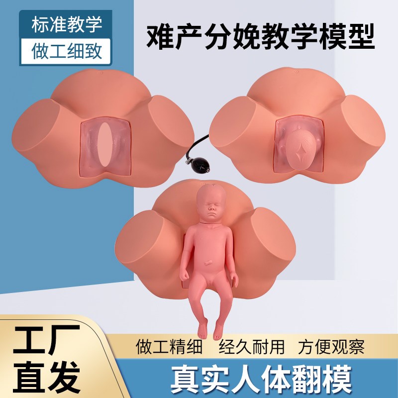 高级难产示教演示训练模型t教学妇科女性胎儿生产分娩助产模拟道