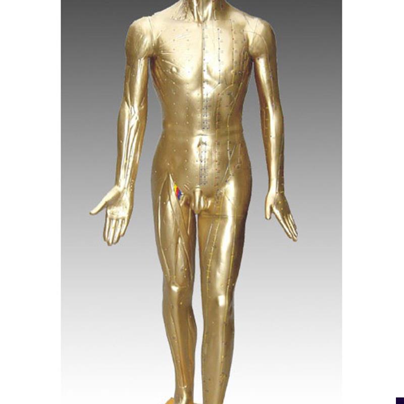 中医标准人体针灸铜人84CM(青铜色)练习假人经络模具Z穴位橡皮人