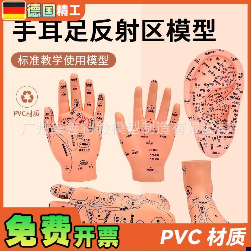 针灸足底脚模反j射眼睛图脚穴位模型足部底耳模耳朵手经络手部推