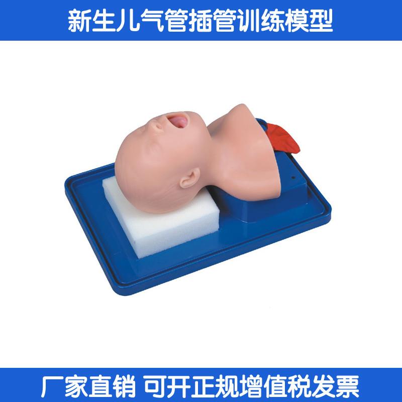 上海医教模型新生儿气管插管模型经口鼻N管理练习培训模具双肺