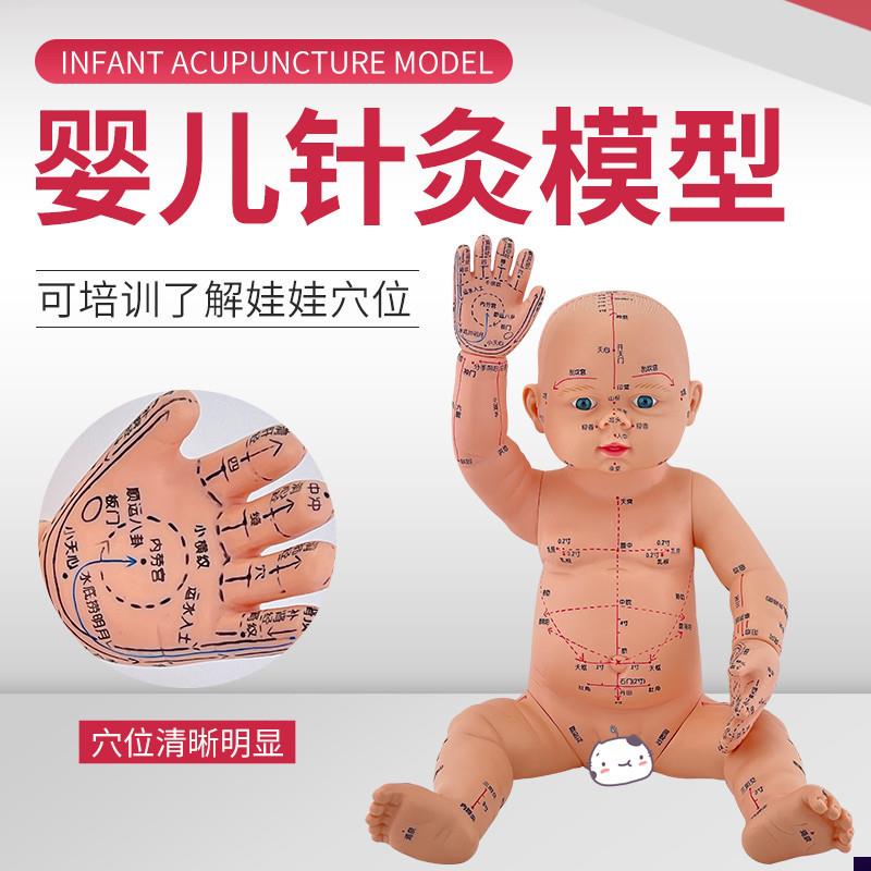 婴儿人体模型g儿童娃娃人体模型针灸中医通用穴位小儿推拿仿真模