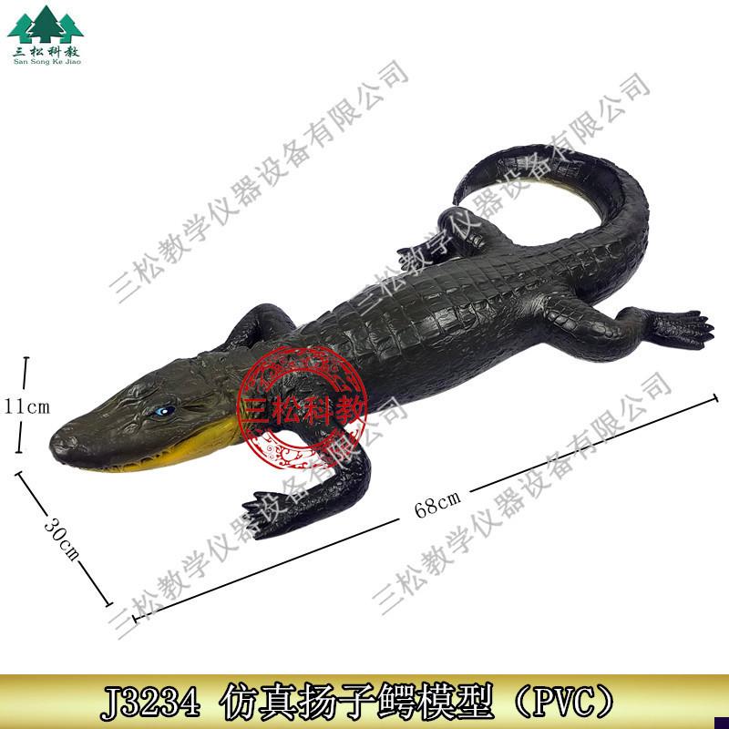 3234仿真扬子鳄模型 珍稀动物模I型 生物标本科普教学仪器