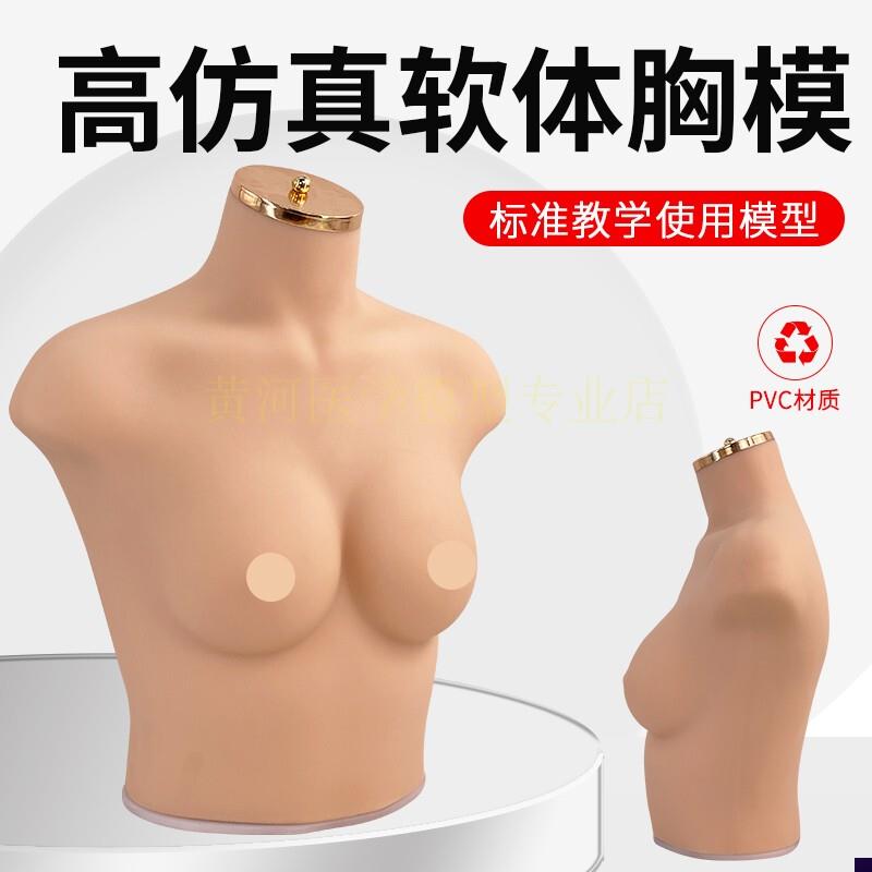 75B/C罩杯内衣模特女胸模 软体模特道具 仿O真人模特内衣展示模特