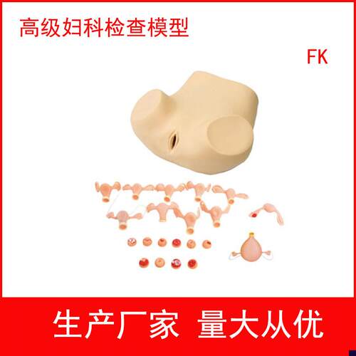 高级妇科综合检查训练模型 腹腔镜检查及妇婴P训练模型子宫触诊视