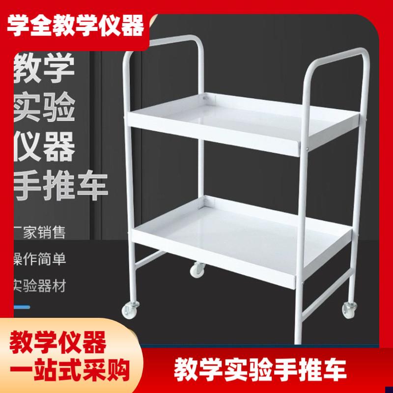 教学实验手推车理化生实验v设备仪器手推车 双层置物架美容推车
