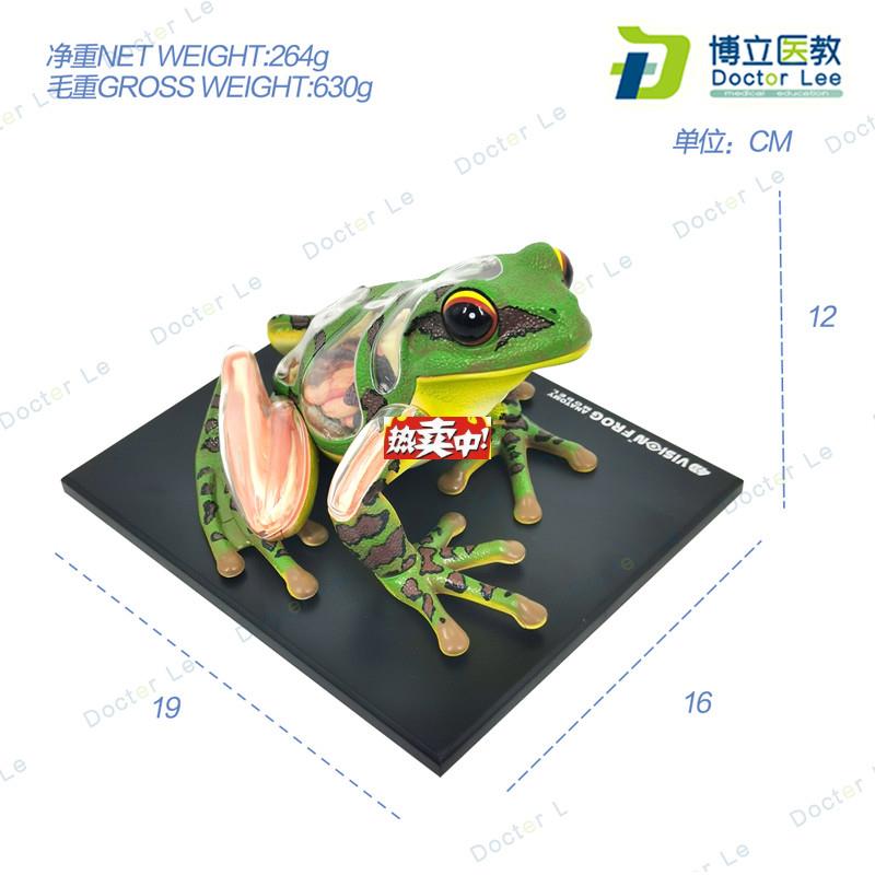 热销4DMasbter青蛙标本解剖模型内脏骨骼拼装学生科普实验器材教