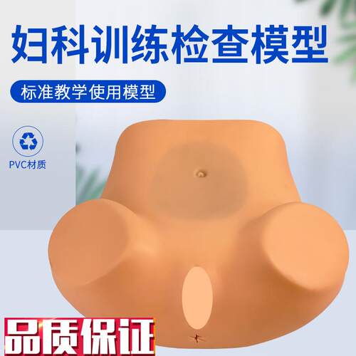 妇科检查模型h妇科训练模型妇产科技能操作训练模型医学用教学具