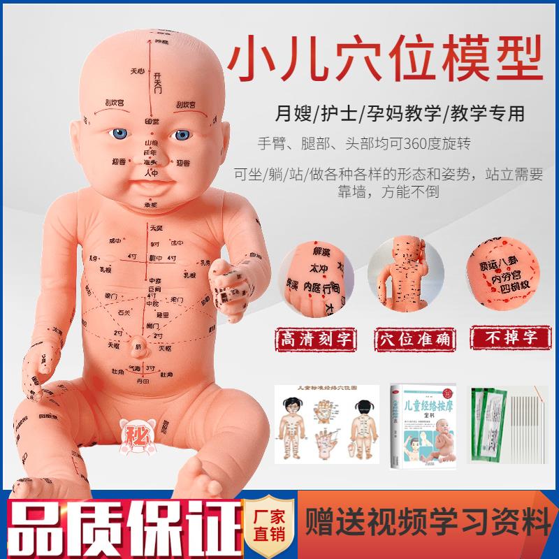 全身穴位娃娃经络图中医小儿推拿按D摩书教学保健月嫂培训宝宝模