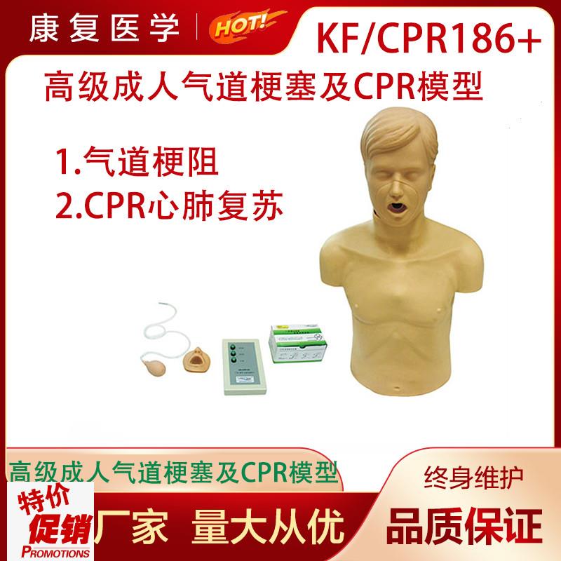 高级成人气d道梗塞及CPR模型成人海氏急救模型成人海姆立克模型