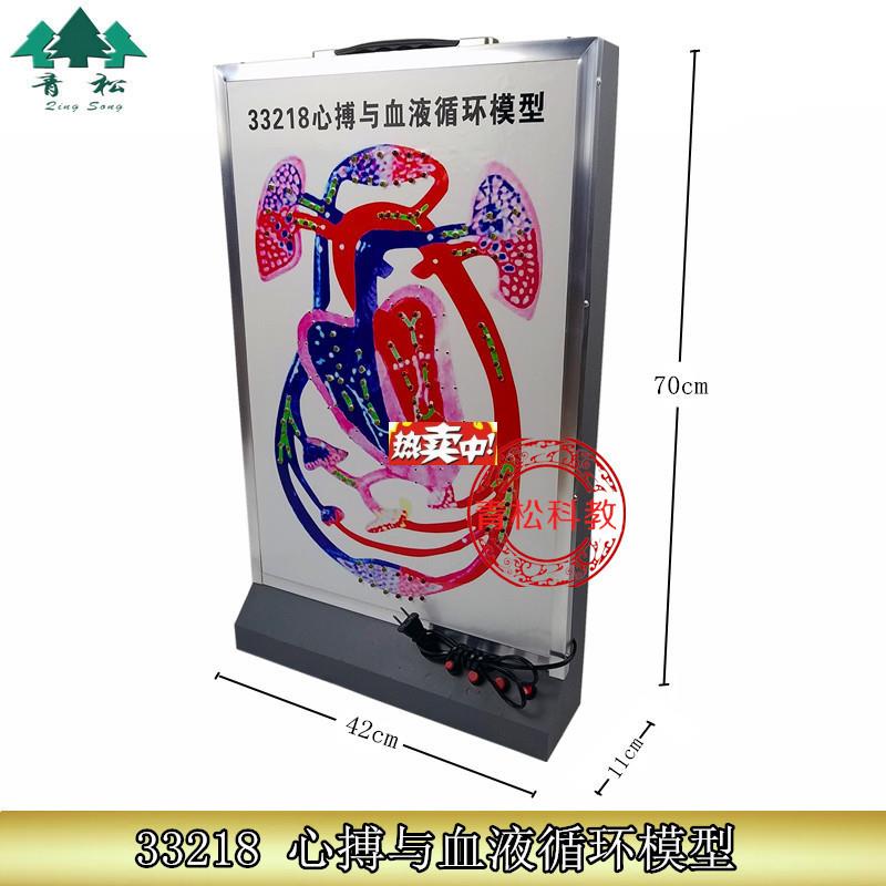 热销心搏与血液循环模型33218动态演示Y生物实验器材教学仪器正