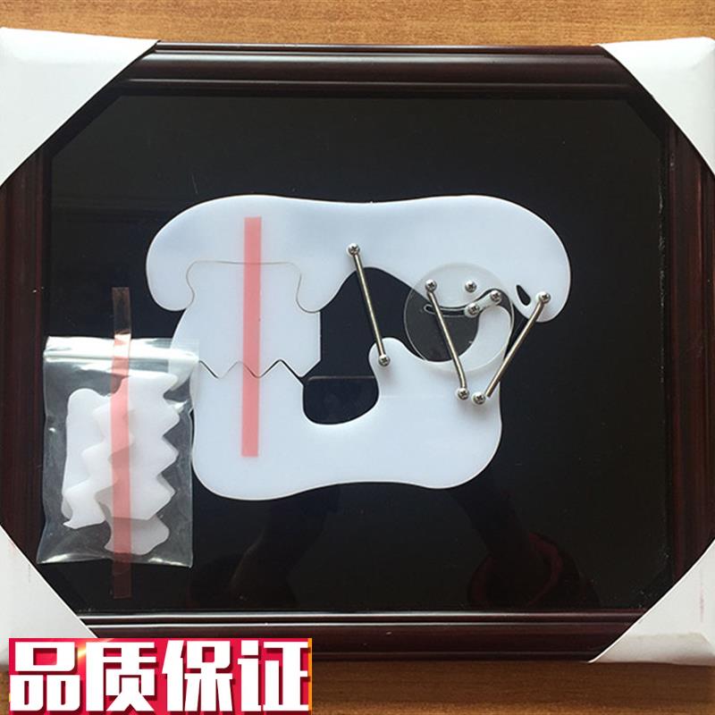 牙齿教学训h练演示板牙科牙颌关节咬合示教板