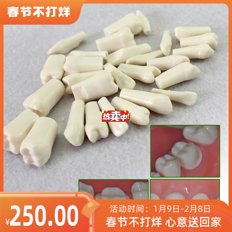 热销ENOVO颐诺口腔齿科牙医备牙仿真牙齿牙体制备窝t洞备牙粒离体