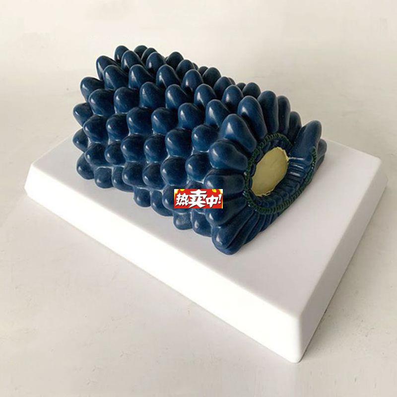 热销杆状病毒模型腺病毒冠状F病毒噬菌体中学生物课教具医用展