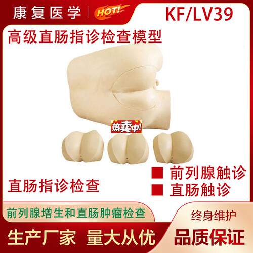 热销高级直肠指诊检查模型肛检诊模n型肛门指诊检模型医教学用模