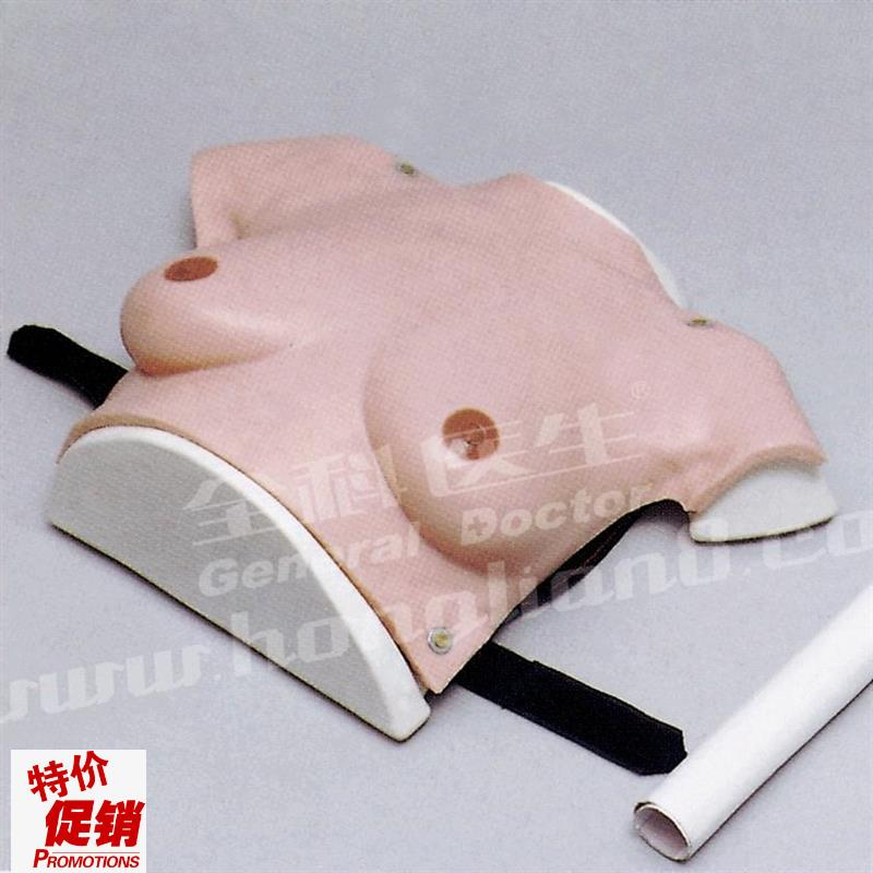 高级着装式乳房自检k模型GD/F7C/女性乳房检查模型/乳腺自检模型