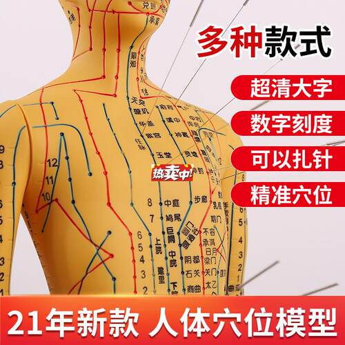 热销人体针灸模型经络穴位中医全身十二铜人模特图r软胶扎针练习