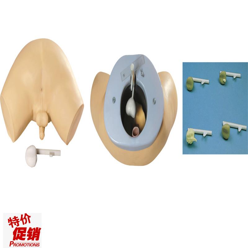 前列腺检查模型y佳悦科教通L63